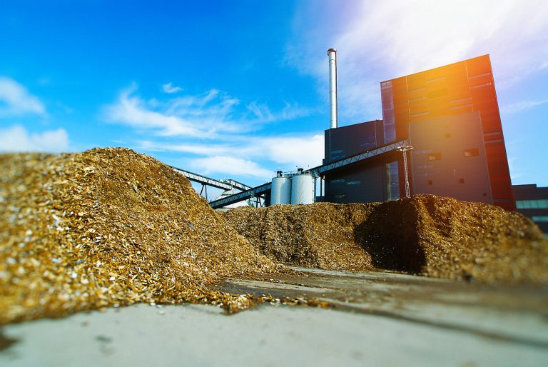 US produced 790,000 tons of densified biomass fuel in January
