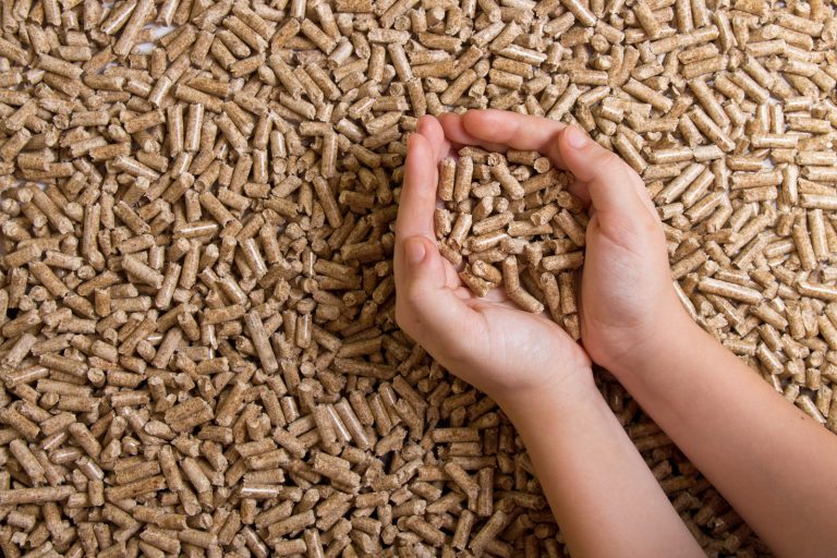 Enviva to purchase two US wood pellet plants