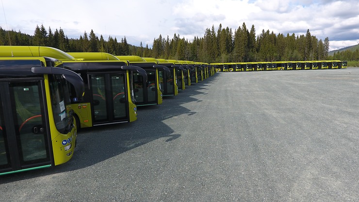 MAN Lion’s City buses