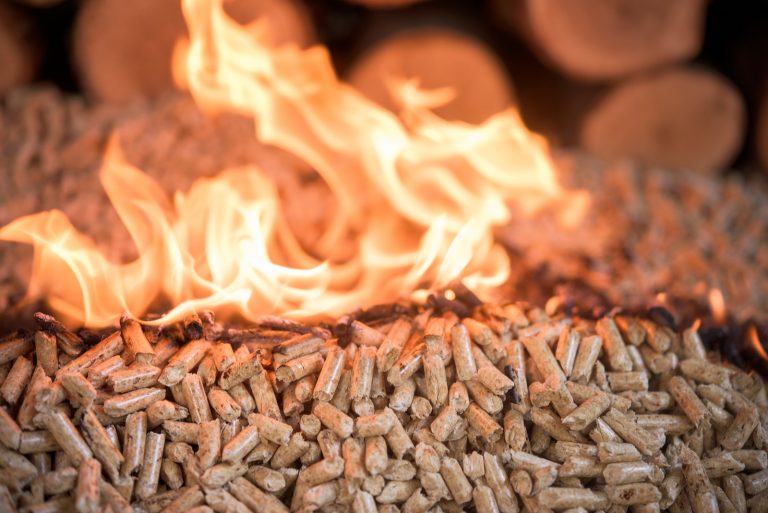 biomass-campaign-group-calls-on-uk-government-to-extend-rhi-scheme