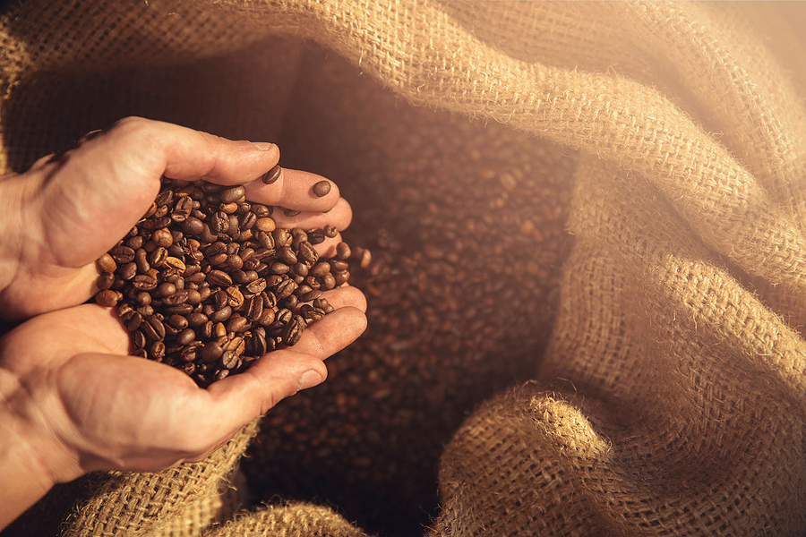 Os grãos de café usados apresentam potencial como matéria-prima para biomassa