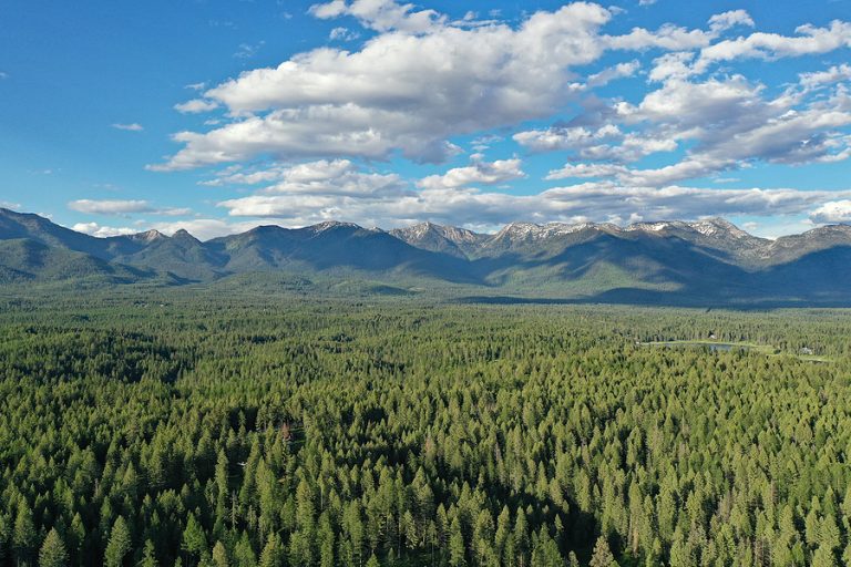 Libby in Montana, US issued 'A'-rated BDO Zone Designation for woody biomass