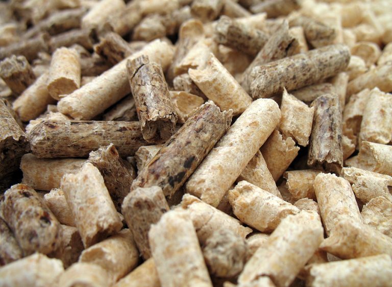 Bioenergy Europe publishes its 2022 Pellets Report