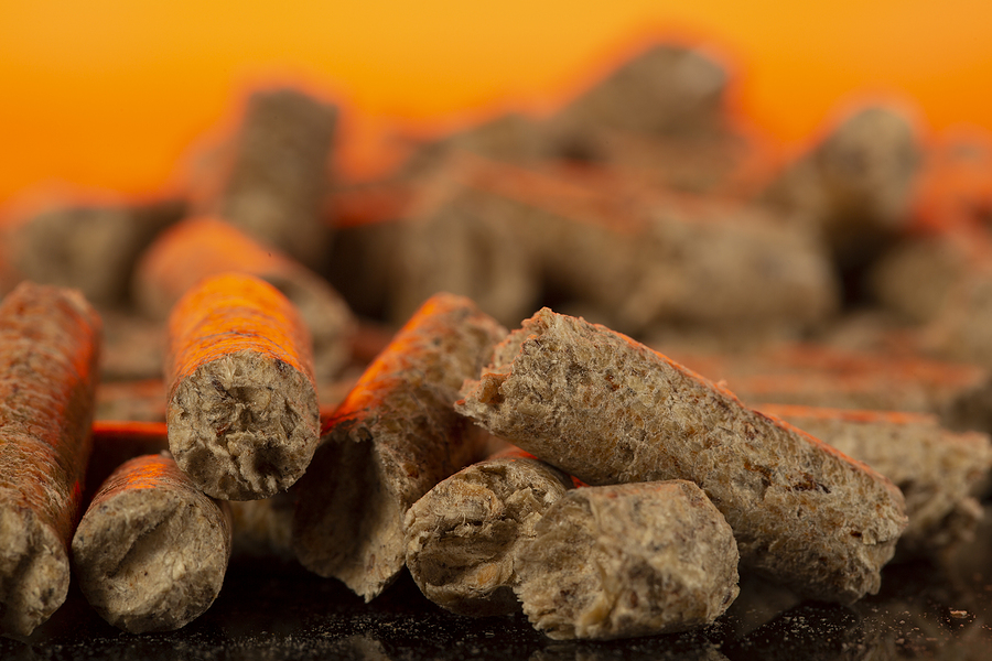 Eco2fume Pellets Chubu Electric Power to invest in Yahaba biomass plant - Bioenergy ...