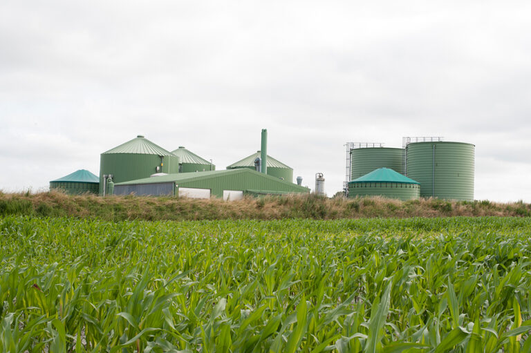 Suma Capital acquires CH4T as it targets Italy’s biomethane market