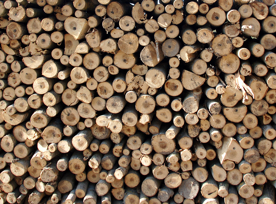 RED III cascading principle to take effect for woody biomass