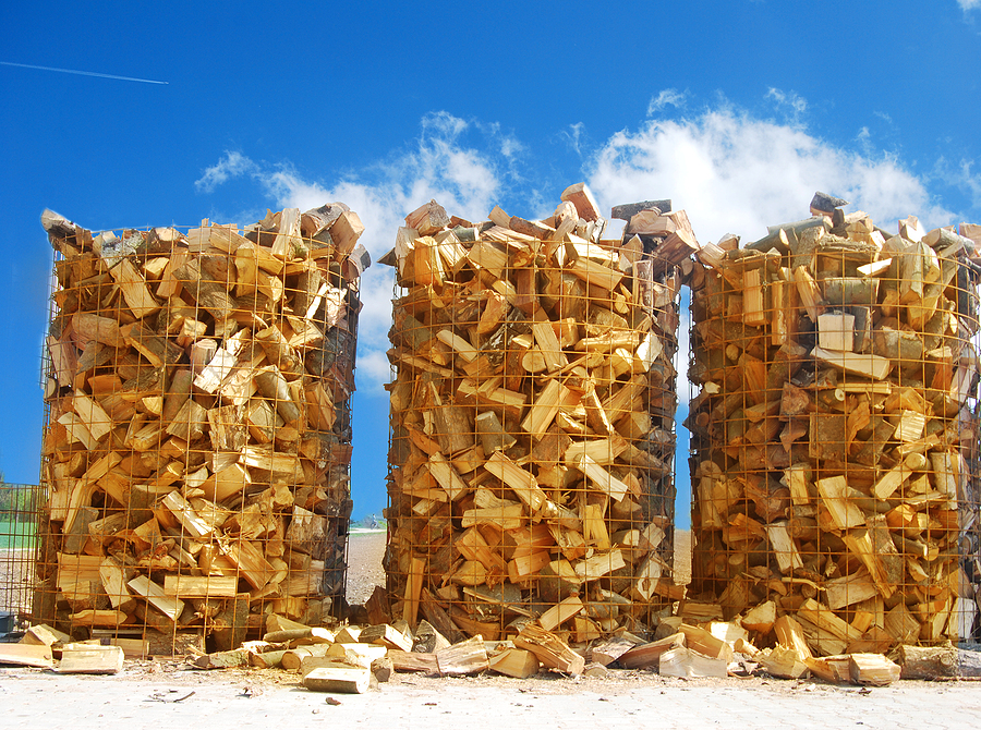 US grant backs Tribal forest biomass market development across 60 member nations