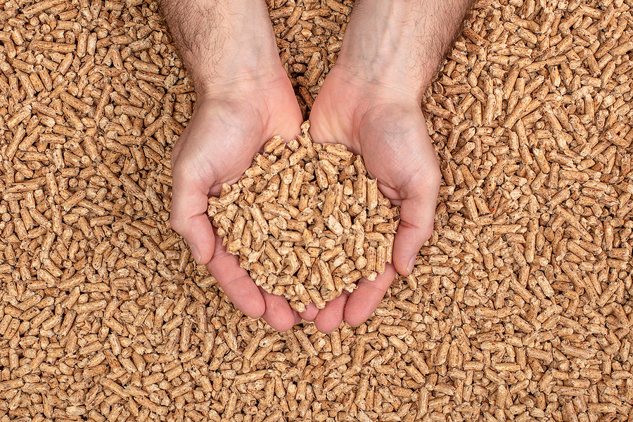 German biomass pellet prices climb for second consecutive month