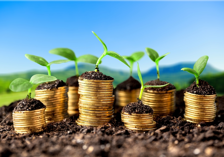 White Summit Capital completes first close for its Decarbonisation Infrastructure Fund