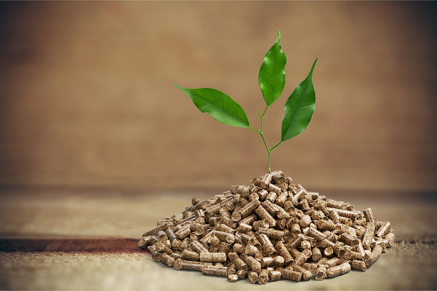 Renova reschedules Omaezakikou biomass plant launch