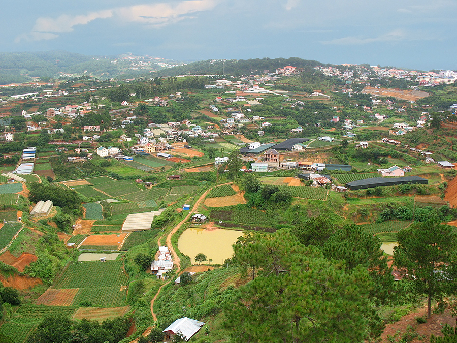 erex expands biomass activity in Vietnam