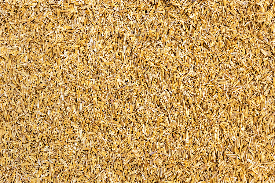 Japanese hot spring facility installs biomass boiler