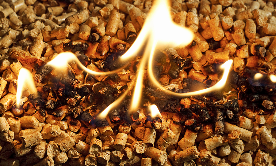 Vietnam plans to add biomass to direct power purchase agreement