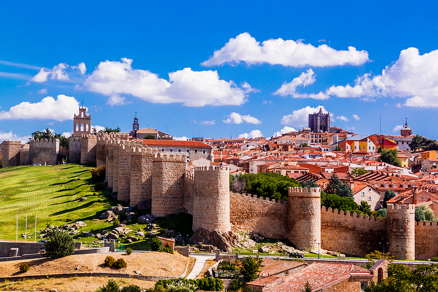 Engie acquires majority stake in biomass-powered network in Ávila