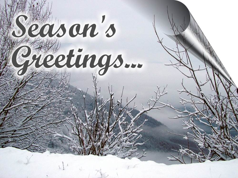 Season’s greetings from all at Bioenergy Insight