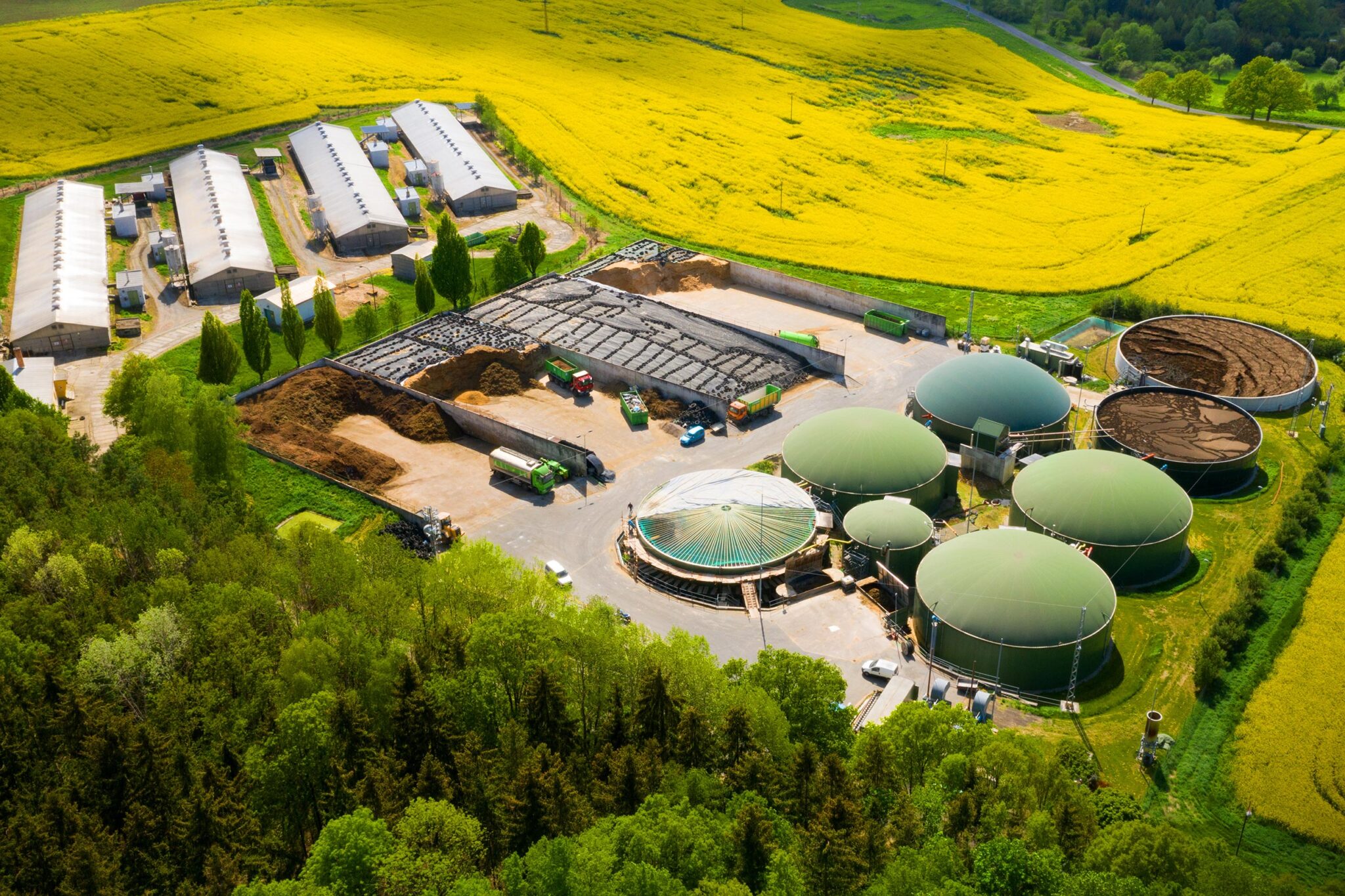 Vtti VTTI launches new subsidiary Vida Bioenergy - Bioenergy Insight Magazine