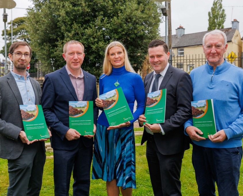IrBEA launches solid biomass report