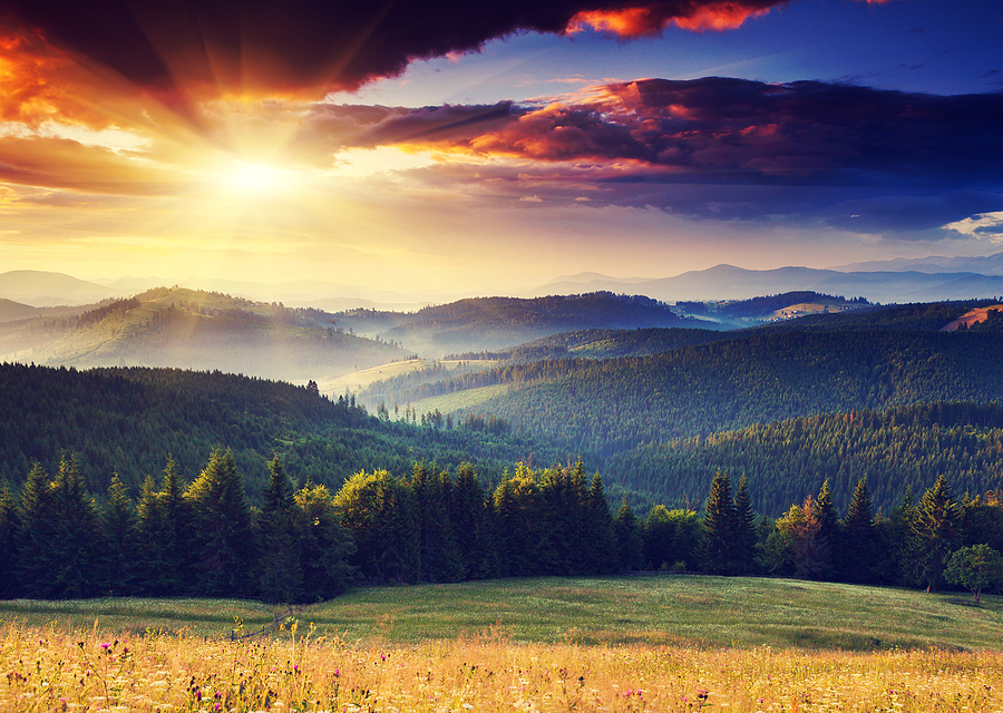 Ukraine injects first biomethane into storage facilities