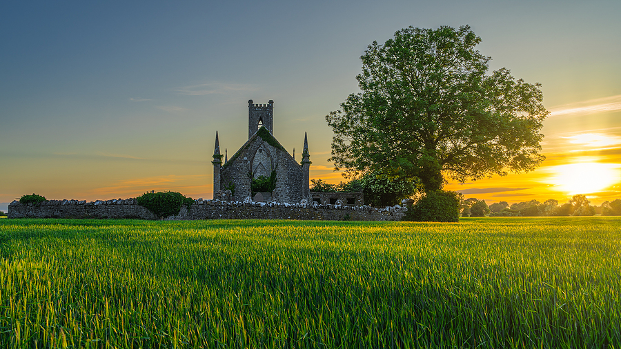 CycleØ to hold public consultation on Kildare biomethane plant