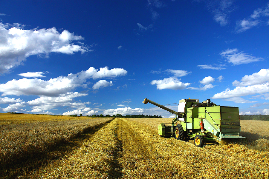 Biomass emphasised as key for India’s energy transition