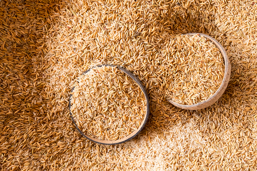 Nam Dinh textile factory switches to biomass