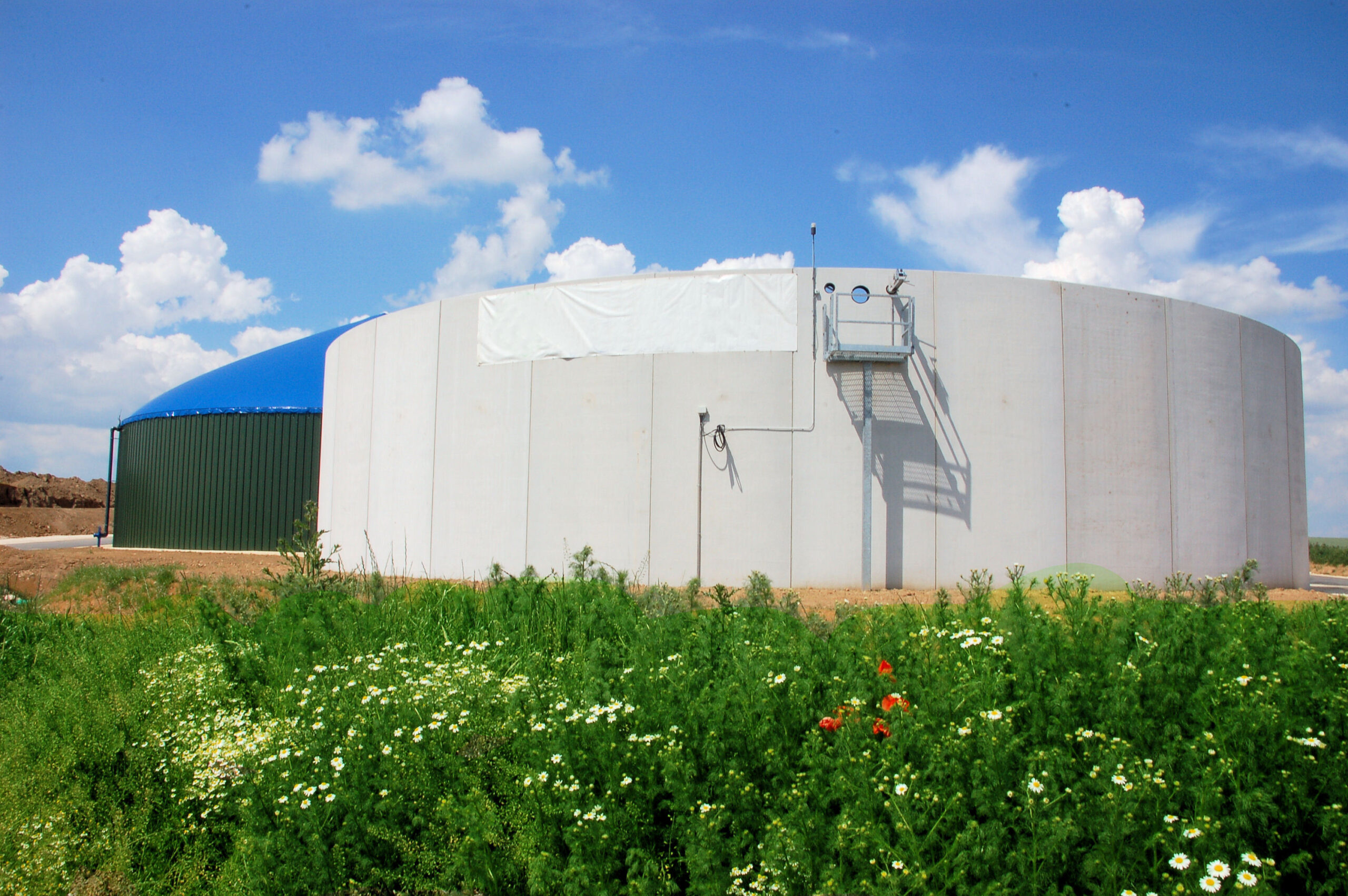 European Investment Bank approves Poland’s €238m biomass programme