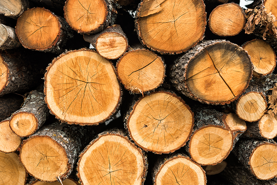 US agriculture secretary is ‘100% confident’ that exported biomass meets UK requirements