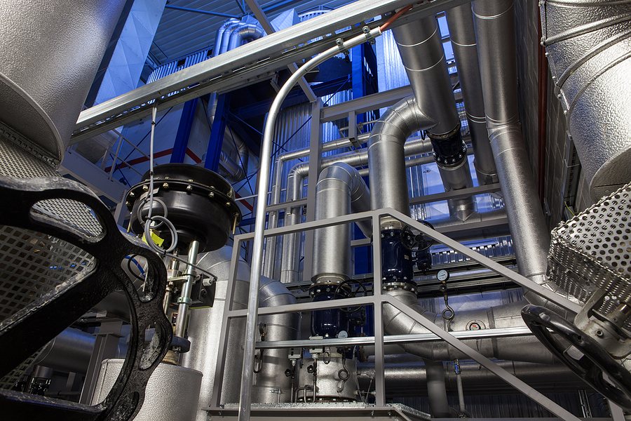 Erex’s first Vietnam biomass plant now operational