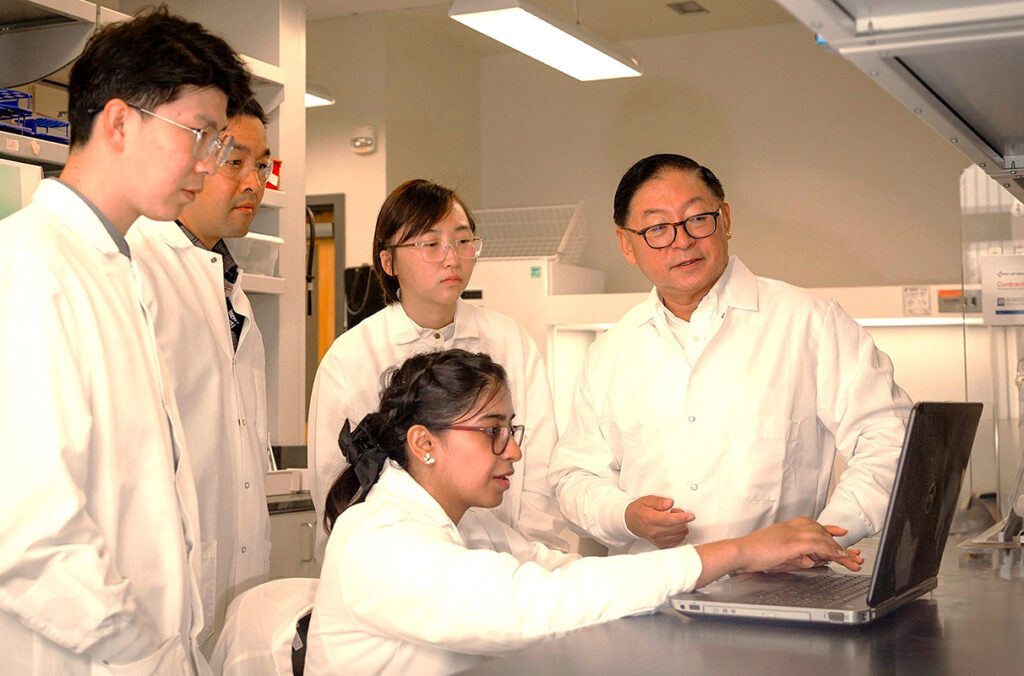 WSU scientists uncover new way to convert corn waste into low-cost sugar for biofuel