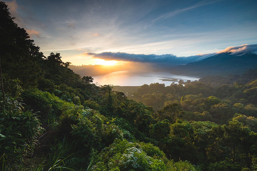 Biomass co-firing in Indonesia ‘not a long-term solution’, according to new report