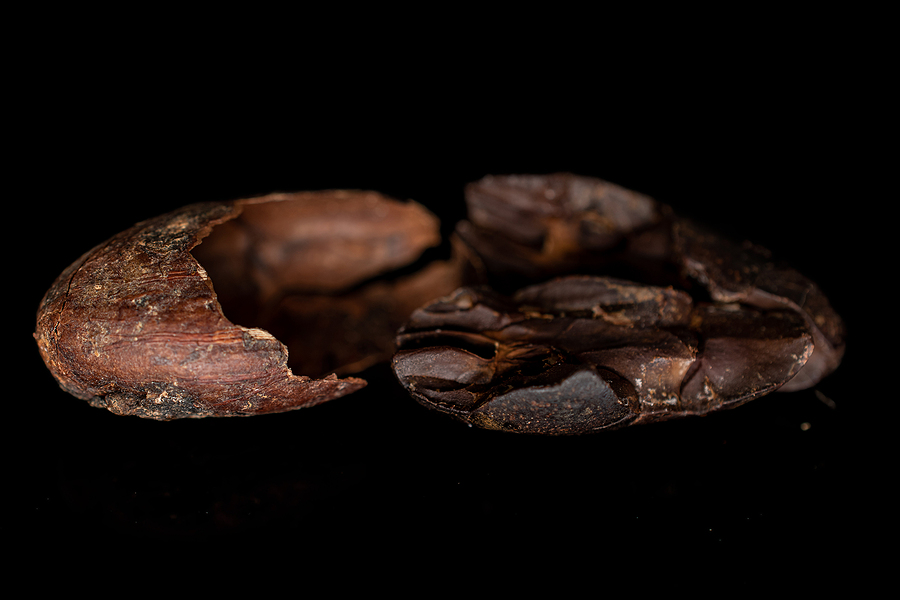 Côte d’Ivoire cocoa waste project secures backing for 76 MW biomass plant