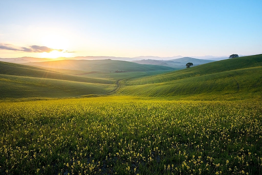 European biogas sector shows modest growth amid calls for policy clarity