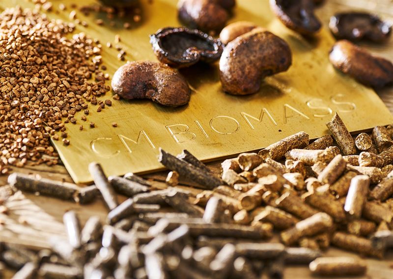 CM Biomass maintains strong market position despite industry headwinds
