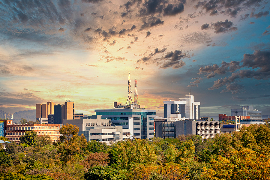 Boomitra expands into biomass-based carbon removal with Botswana project