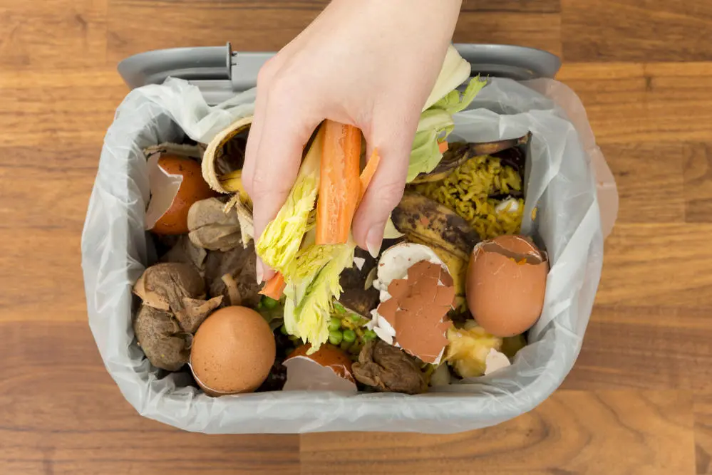 CenterPoint Energy to buy renewable gas from Twin Cities food and yard waste