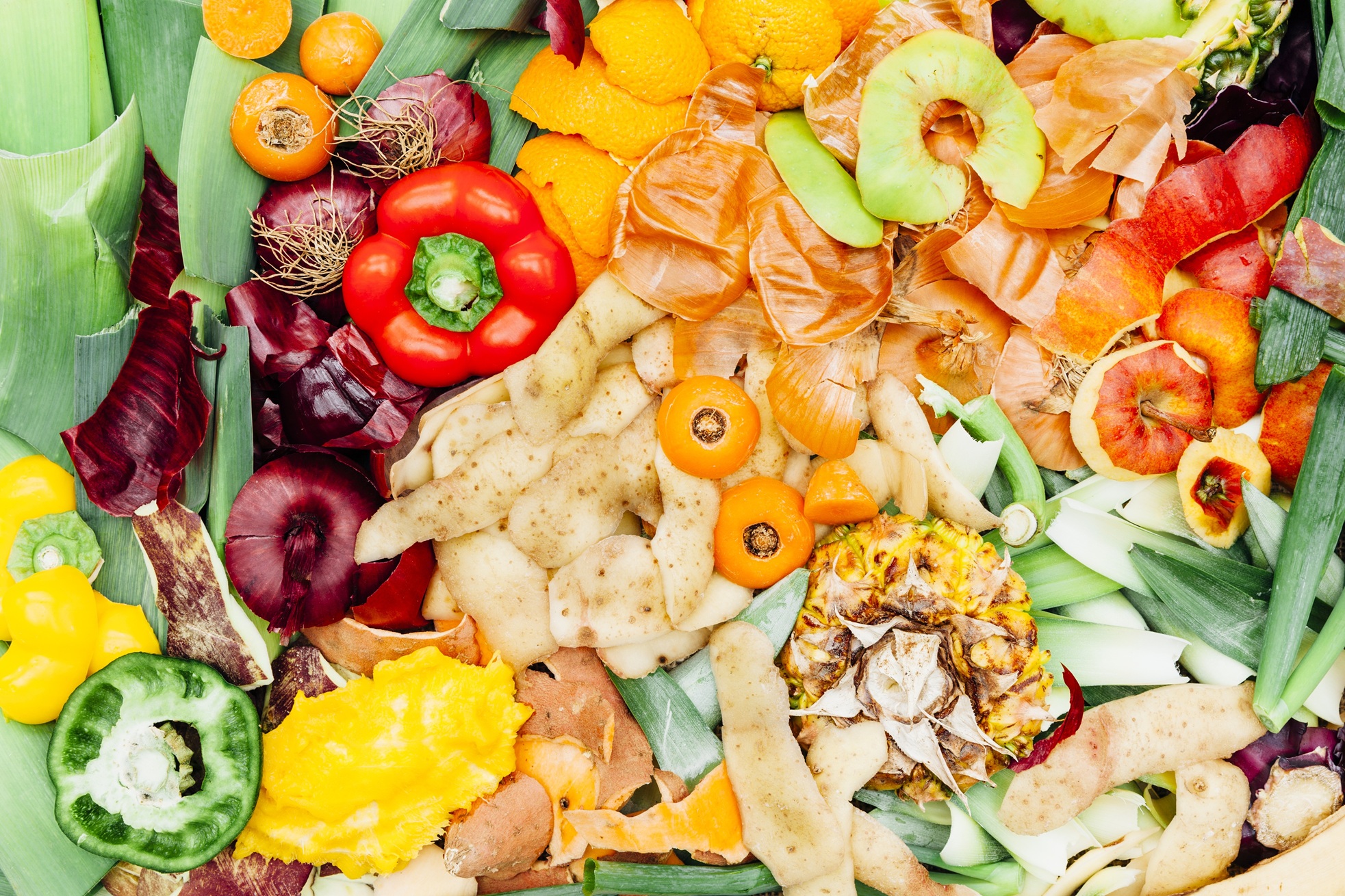Coventry begins weekly food waste collections for AD