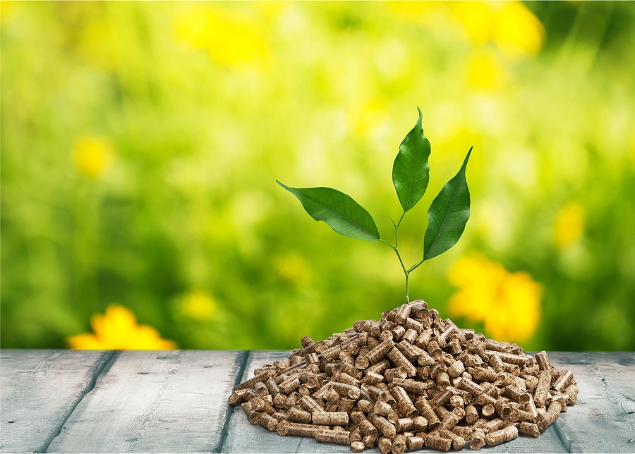 71 thermal power plants across India now co-fire biomass, says CAQM