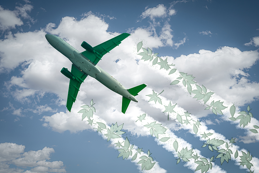 Airbus eyes Indonesia biomass for SAF