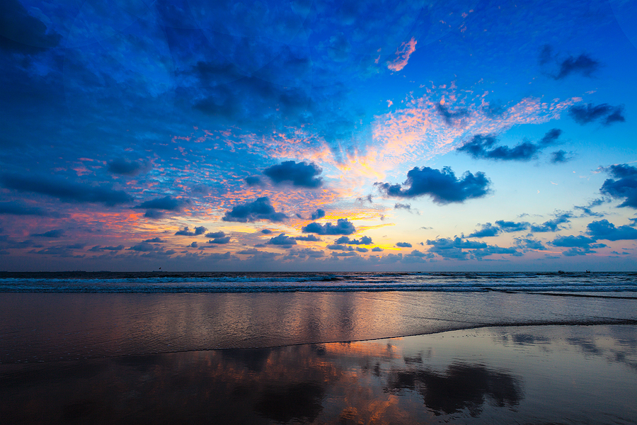 Goa drafts policy to boost bioenergy