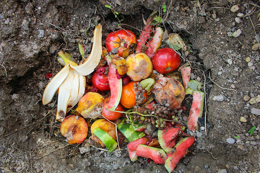 Plans submitted for Wisbech plant to turn waste fruit into renewable gas