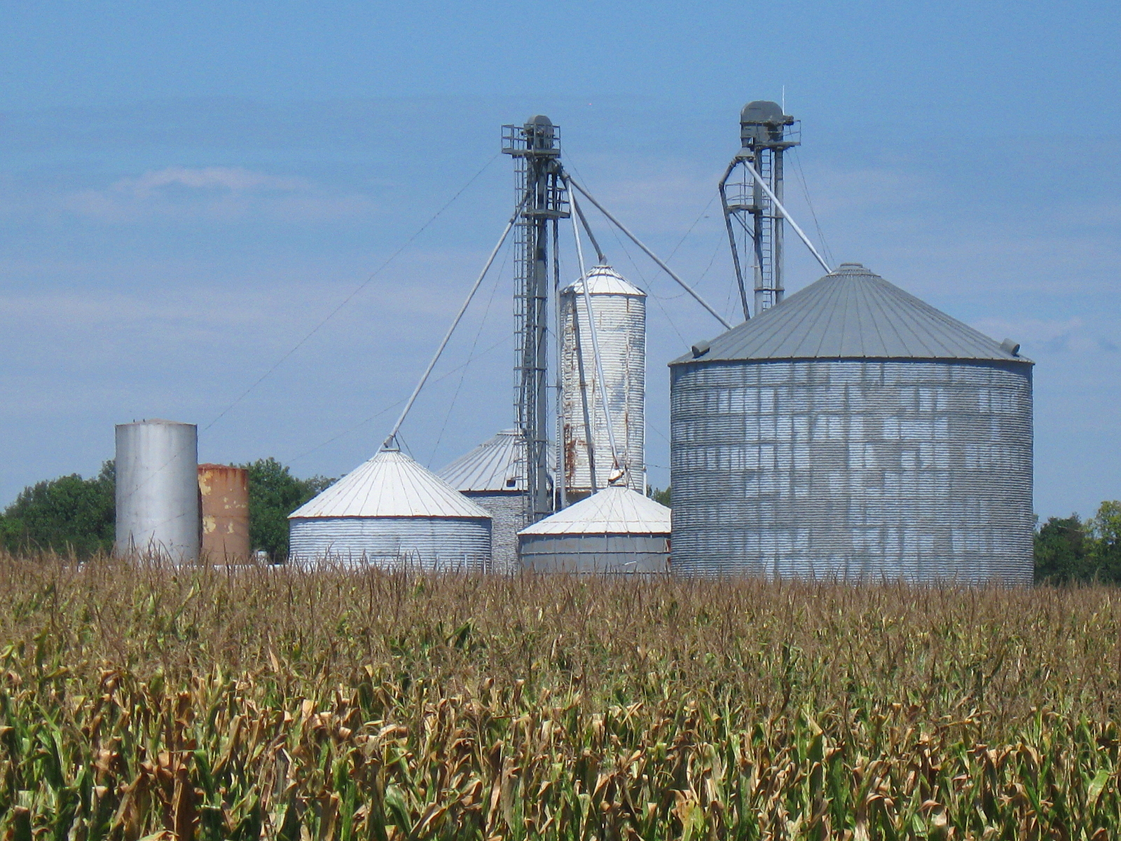 Latvia approves support scheme for biomethane production