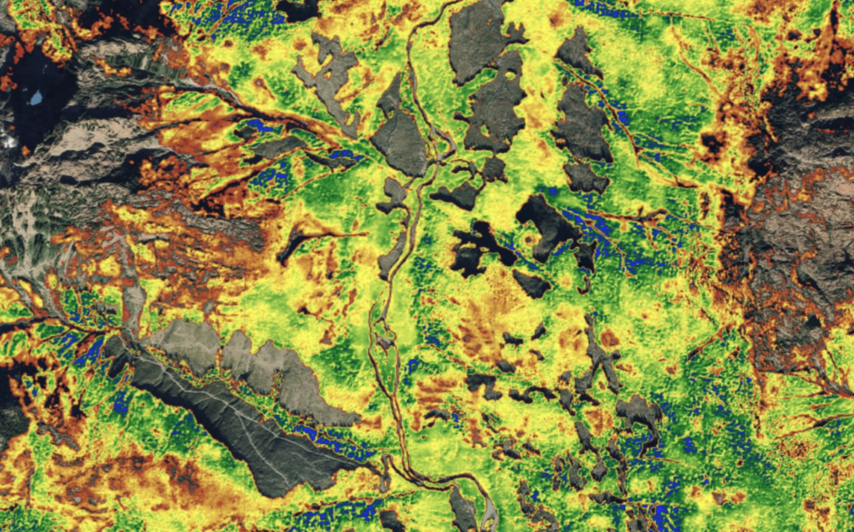 Drax partners with NGIS to map carbon stocks in North American forests