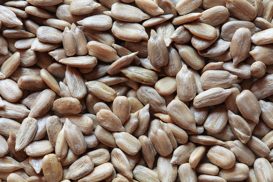 Bunge invests €46.5m in biomass boiler for Hungarian plant
