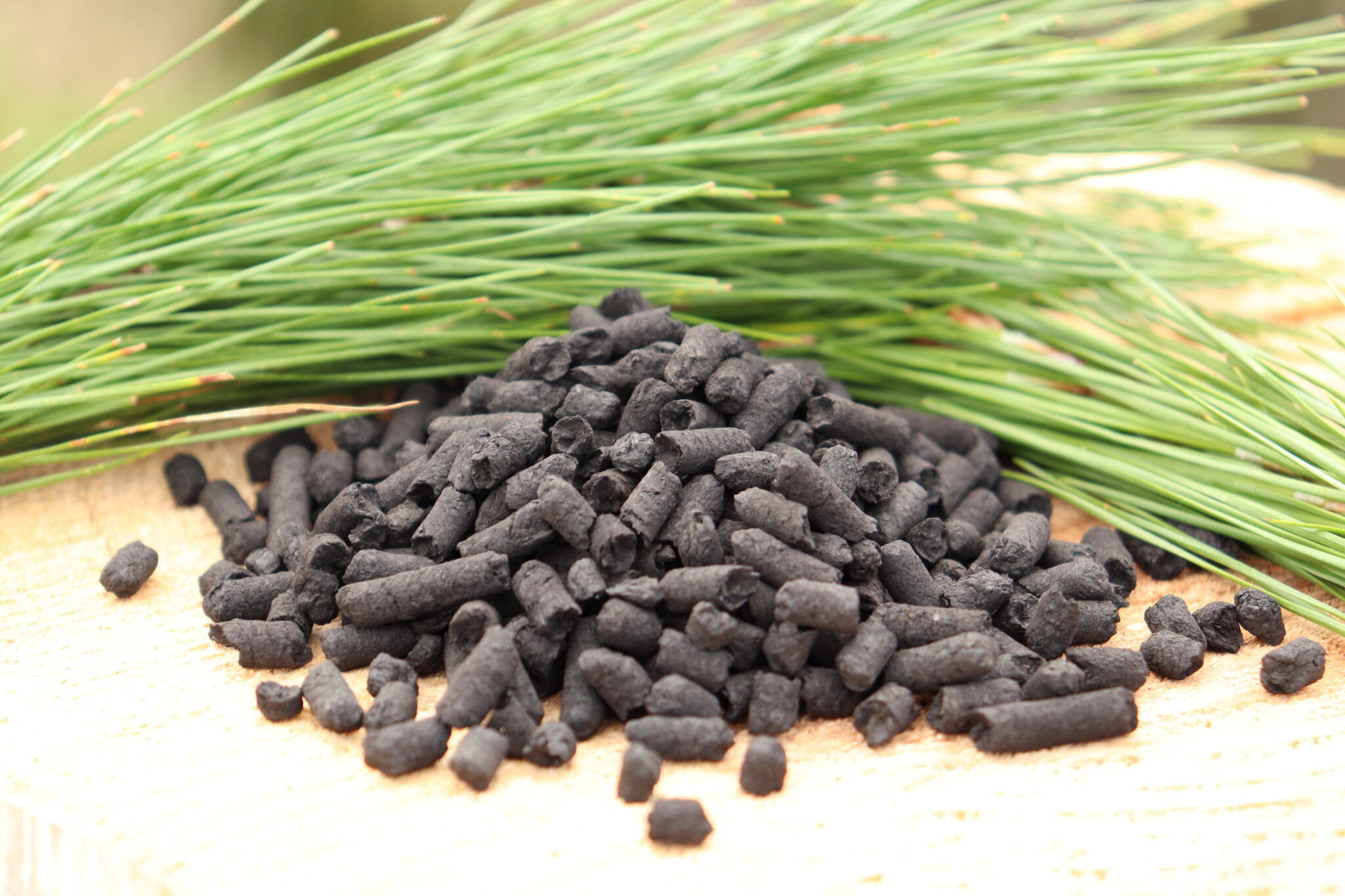 Foresta sets new biomass standard with New Zealand facility