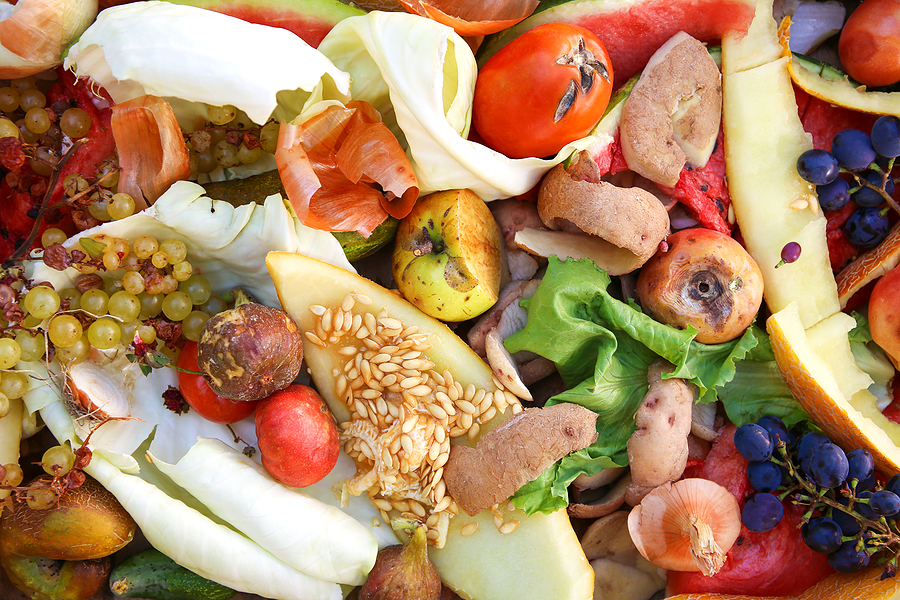 New data shows rapid growth in US biogas production from food waste