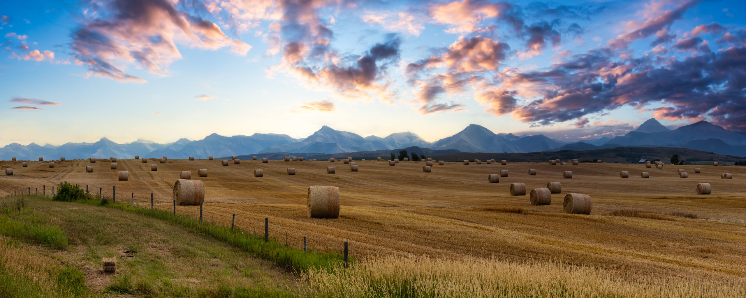 Canadian Biogas Investments appoints new CEO