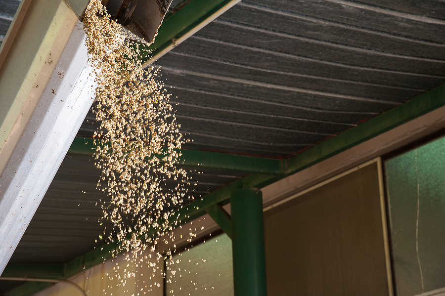 Croatia to build biomass-powered data centre using olive oil waste