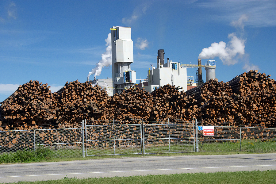 SBP launches GHG calculator for biomass emissions reporting