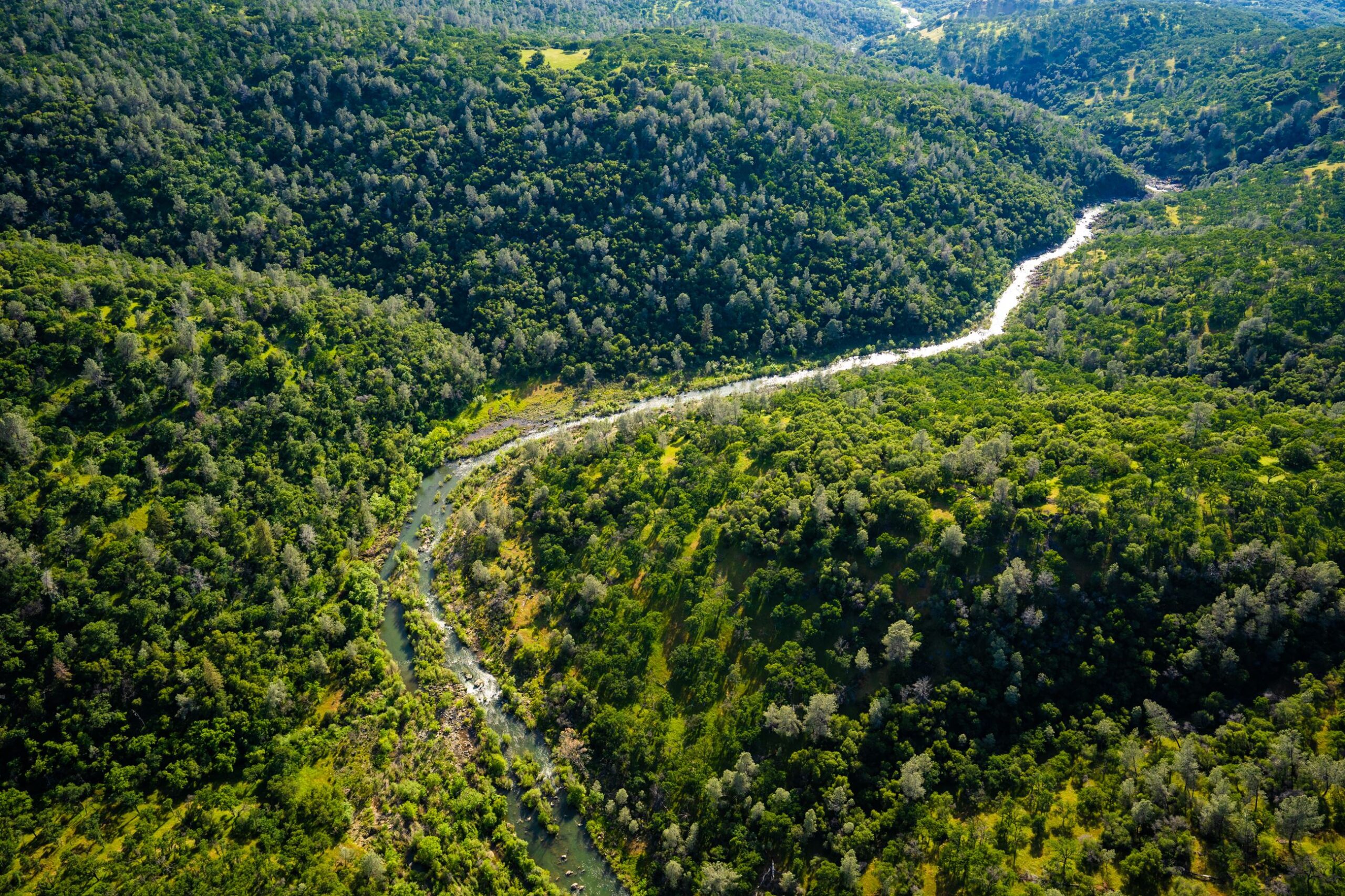 California counties launch digital tools to boost biomass utilisation
