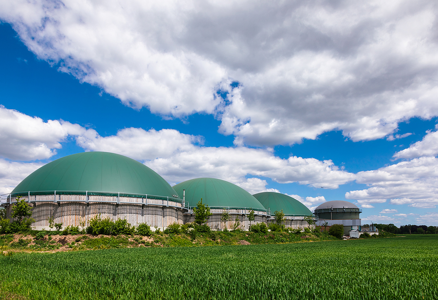 Canadian start-up seeks approval for farm waste biogas plant